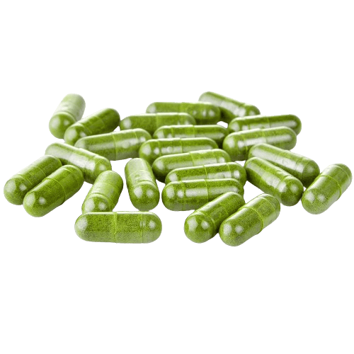 Premium Moringa Extract Capsules