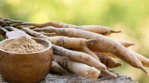 shatavari root